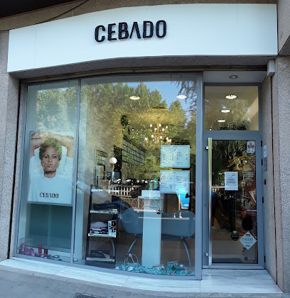 Peluquería Cebado | Peluqueria en Huesca / Huesca