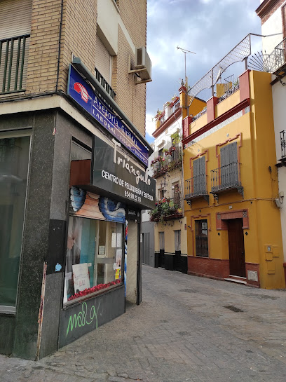 Salón Peluquería y Estética Triángulo | Peluquería en Sevilla / Sevilla