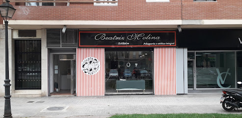 Beatriz Molina Estilistas | Peluqueria en Valencia / Valencia
