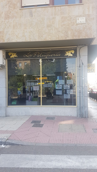 La Peluquería Unisex | Peluquería en Salamanca / Salamanca