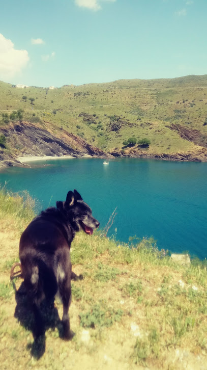 Perruqueria Alberta | Peluqueria en Portbou / Girona