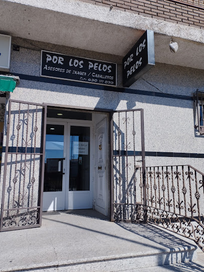 Peluquería  «Por los Pelos » | Peluqueria en Cedillo del Condado / Toledo