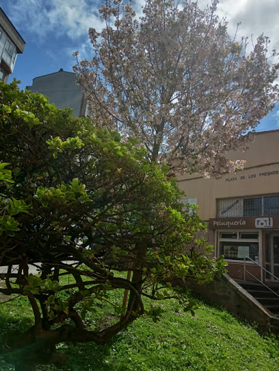 Loli Cedeira | Peluquería en A Coruña / La Coruña