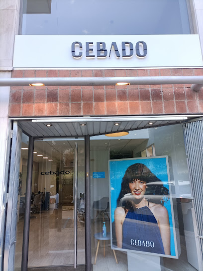 Cebado | Peluquería en Mollet del Vallès / Barcelona