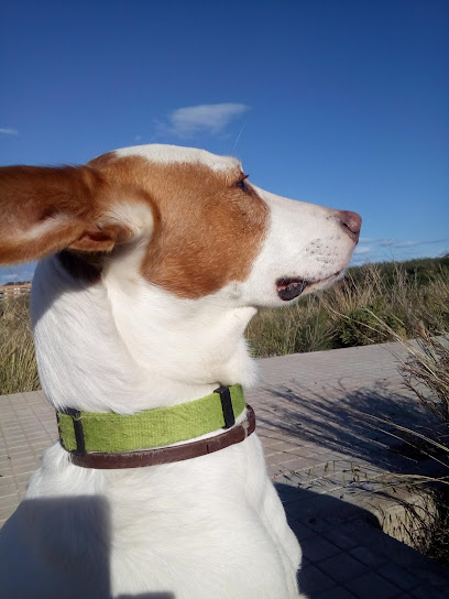 Ana | Peluquería en Picassent / Valencia