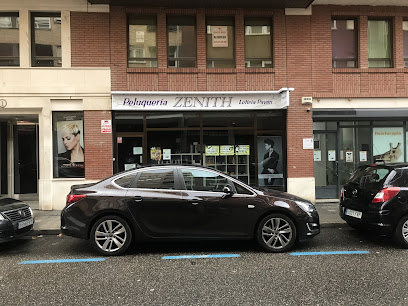 Peluqueria Zenith | Peluquería en Palencia / Palencia