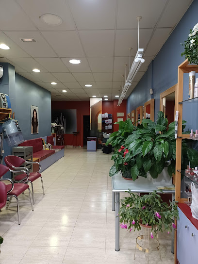 El Serrell | Peluqueria en Manresa / Barcelona