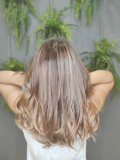 Peluquería Cebado | Emili Grahit | Peluqueria en Girona / Girona