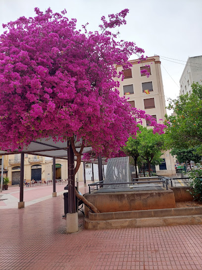 The Oscars peluqueros | Peluquería en Castellón de la Plana / Castellón