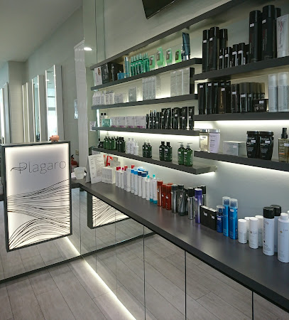 Peluquería Plágaro | Avenida de la Paz | Peluqueria en Burgos / Burgos