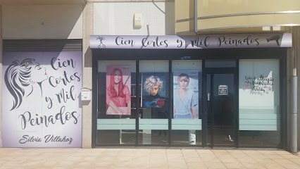 CIEN CORTES y MIL PEINADOS | Peluquería en Burgos / Burgos