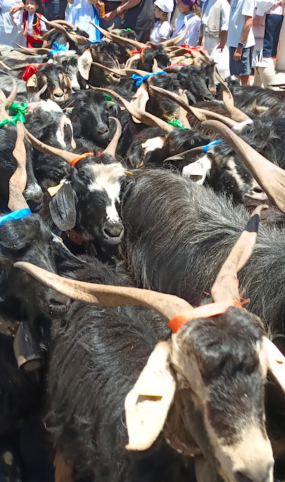 Tegueste | Peluquería en Tegueste / Tenerife