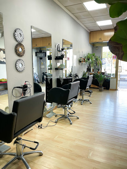 D Cande Peluqueros | Peluquería en San Isidro de Níjar / Almería