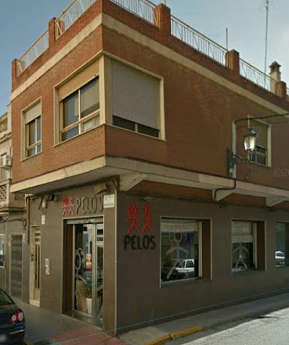 Pelos | Peluqueria en Sedaví / Valencia