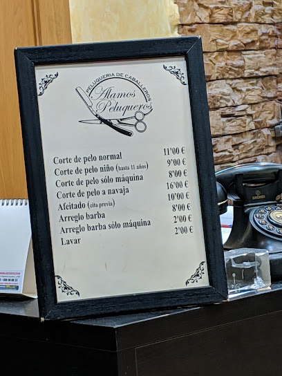 Álamos Peluqueros | Peluquería en Torrejón de Ardoz / Madrid