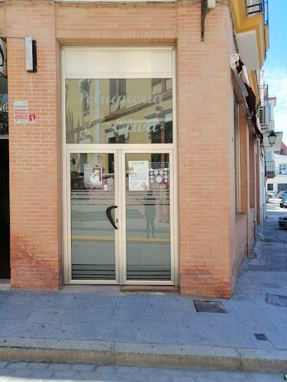 Peluquería Oliva | Peluqueria en Lebrija / Sevilla