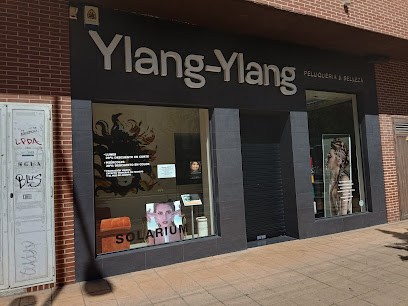 Peluquería Ylan Ylang | Peluquería en Vitoria-Gasteiz / Álava