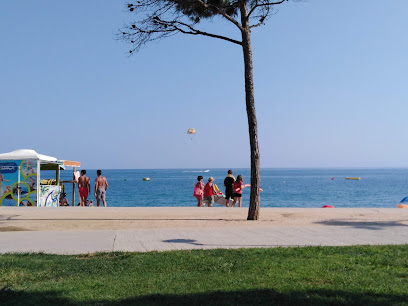 NEW CONCEPT | Peluqueria en Pineda de Mar / Barcelona