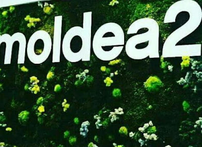 Moldea2 | Peluqueria en Terrassa / Barcelona