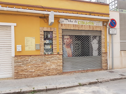 La Pelu de Claudia | Peluqueria en Rocafort / Valencia