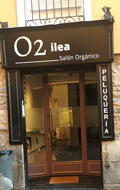 02 ilea peluqueria organica | Peluqueria en Vitoria-Gasteiz / Álava