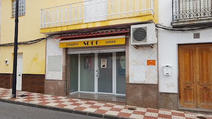 María Socorro Jiménez Zafra | Peluqueria en Pinos Puente / Granada