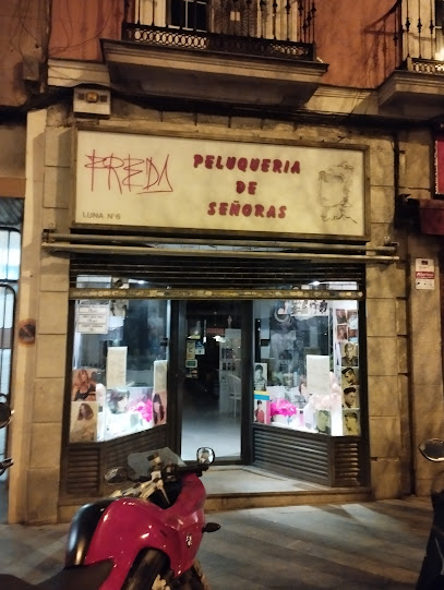 Freda Peluqueria de Señoras- Pilar Camara | Peluquería en Madrid / Madrid