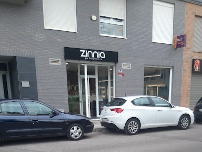 Zinnia Peluquería y Estética Unisex | Peluquería en Villarreal / Castellón