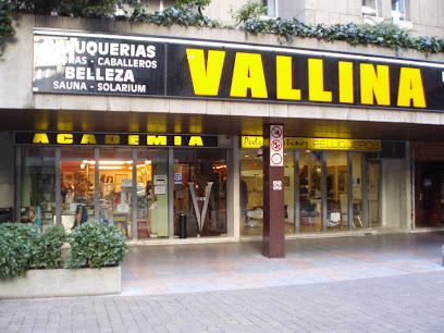 Academias Peluquería y Estetica Vallina | Peluqueria en León / León