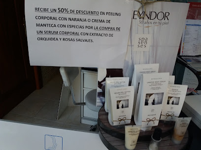 Irenne | Peluquería en León / 