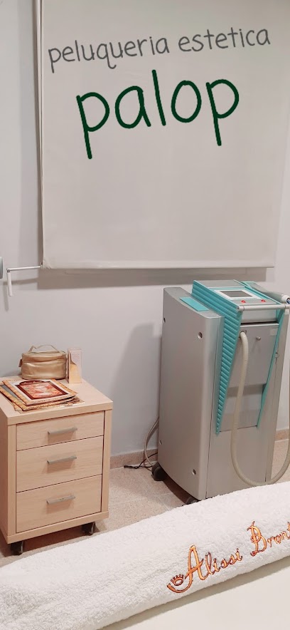 Peluquería Estética Palop | Peluqueria en Alacuás / Valencia
