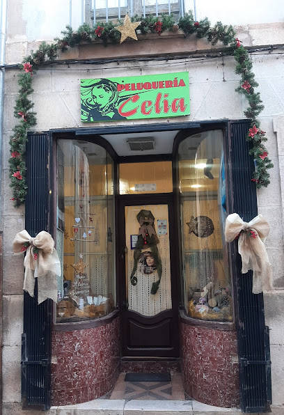 Peluquería Celia | Peluqueria en Lerma / Burgos