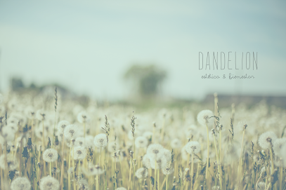 Dandelion Estética & Bienestar | Peluquería en Burgos / 