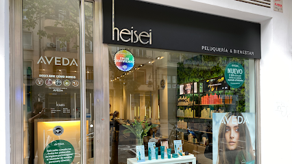Heisei Peluquería y Bienestar | Peluquería en Valencia / Valencia