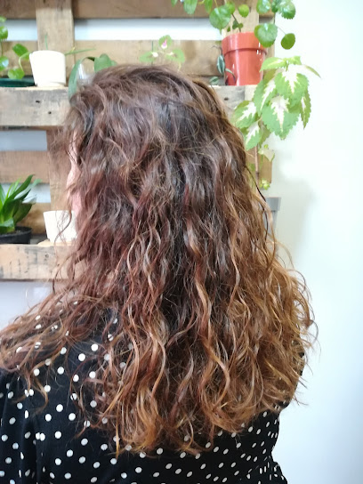Belen Regueiro Peluquería | Peluqueria en A Coruña / La Coruña