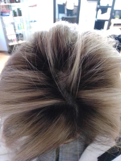 Isabel Peluqueria Unisex | Peluqueria en Zamora / Zamora