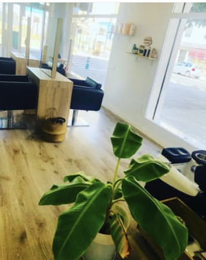 Peluqueria Albert & Frank | Peluquería en Tabernes Blanques / Valencia