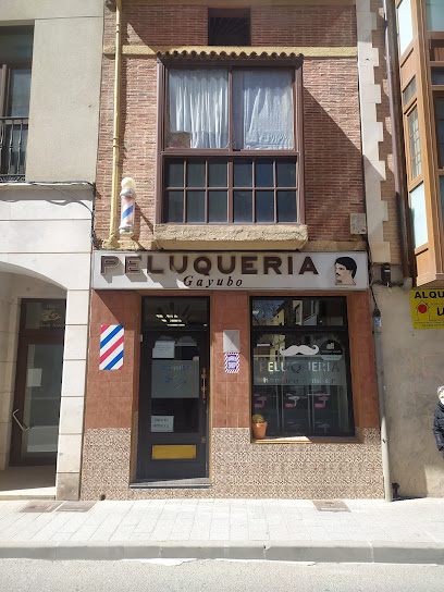 Gayubo Peluqueros | Peluquería en Aranda de Duero / Burgos