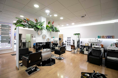 Carmen Rebollo Estilistas | Peluquería en Zamora / Zamora