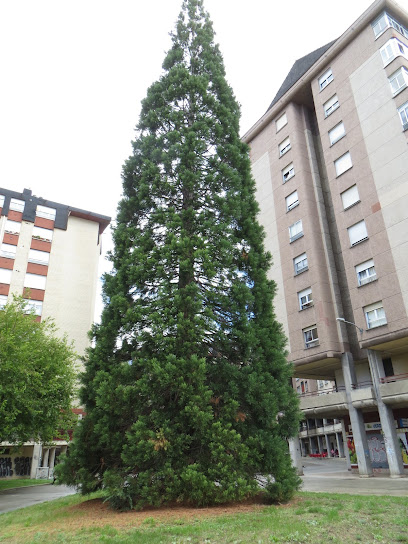Peluquería 