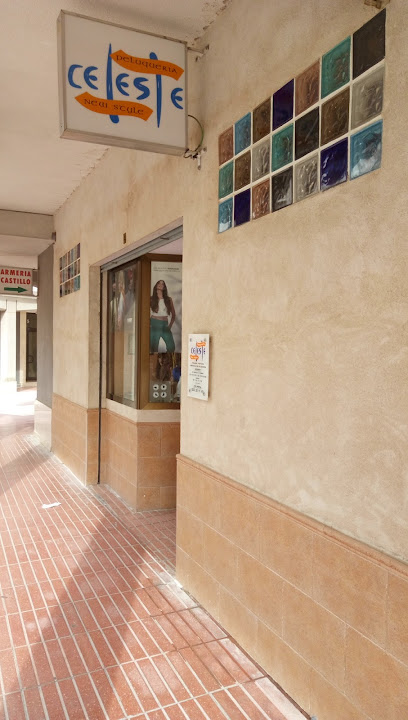 María Celeste Francés Martín Peralta | Peluqueria en Sonseca / Toledo