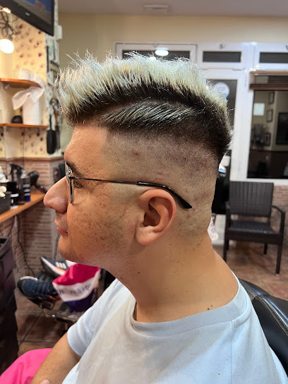 Pels Pels | Peluqueria en Anna / Valencia