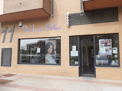 Por los pelos | Peluqueria en León / León