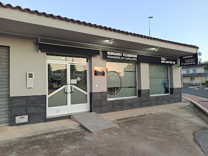 hernandez peluqueros | Peluquería en Orihuela / Alicante