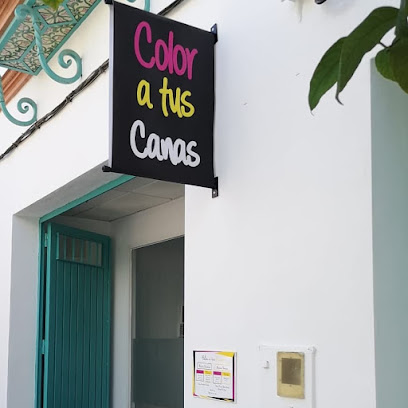 Color a tus Canas | Peluqueria en Los Palacios y Villafranca / Sevilla