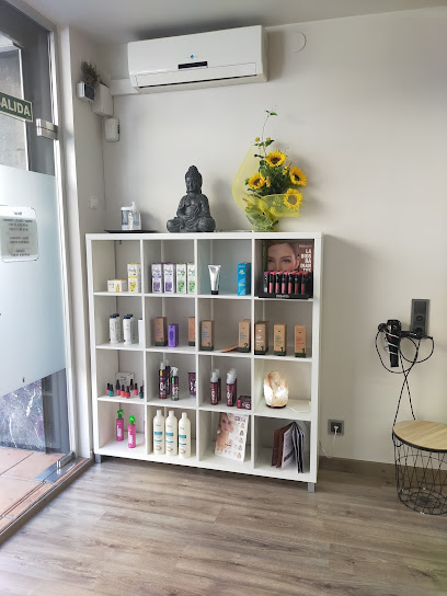 Peluquería Ariza’s Estilistes | Peluqueria en Lleida / Lleida