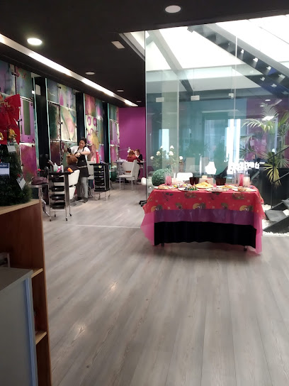 Nuria Silvent Estilistes | Peluqueria en Albal / Valencia