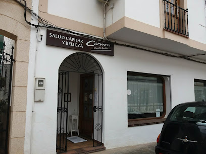 Carmen Morcillo Andrés | Peluqueria en Villarrobledo / Albacete