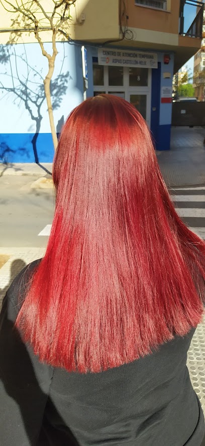 Raiz