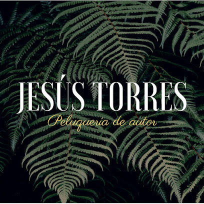 Jesus Torres Peluquería de Autor | Peluquería en Valencia / Valencia